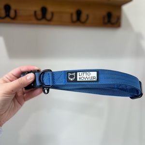 Litto howler 1 inch howler collar glacier blue size large